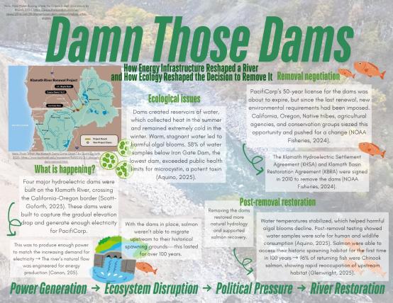 Damn Those Dams