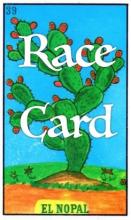 The words Race Card overlaid on top of a cactus. 